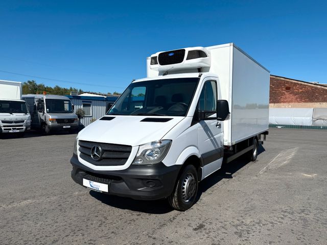 Mercedes-Benz Sprinter 516/ Carrier Pulsor 500/ +- 20°C